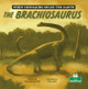 The Brachiosaurus (Hardcover)