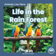 Life in the Rain Forest (Paperback)