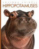 Hippopotamuses (Paperback)