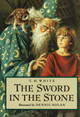 The Sword in the Stone (Hardcover)