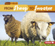 From Sheep to Sweater (Paperback)