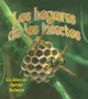 Los Hogares de Los Insectos (Insect Homes) (Paperback)