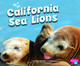 California Sea Lions (Hardcover)