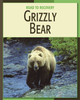21st Century Skills Library: Grizzly Bear (Library binding)