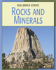 21st Century Skills Library: Rocks and Minerals (Library binding)
