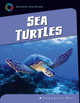 21st Century Skills Library: Sea Turtles (Paperback)