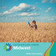 21st Century Basic Skills Library: Midwest (Library binding)