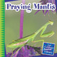 21st Century Junior Library: Praying Mantis (Paperback)