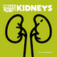 Hello, Body!: Kidneys (Library binding)
