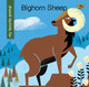 My Early Library: Bighorn Sheep (Library binding)