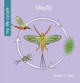 My Early Library: Mayfly (Paperback)
