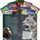 TIME® Grades 6-8: Language Arts 9-Book Set,  (Paperback)