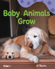 Baby Animals Grow, A Wordless Nonfiction Book (Paperback)