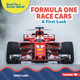 Formula One Race Cars: A First Look (Library Binding)