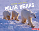 On the Hunt with Polar Bears (Library Binding)