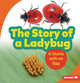 The Story of a Ladybug: It Starts with an Egg (Paperback)