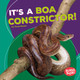 It's a Boa Constrictor! (Library Binding)