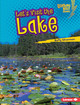 Let's Visit the Lake (Library Binding)