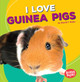 I Love Guinea Pigs (Paperback)