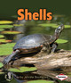 Shells (Paperback) by Jennifer Boothroyd