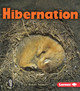 Hibernation (Paperback) by Robin Nelson