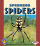 Spinning Spiders (Paperback) by Ruth Berman