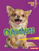 Chihuahuas (Library Binding) by Sarah Frank