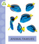 Animal Families by Amicus (Paperback)
