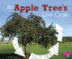 An Apple Tree's Life Cycle (Paperback)