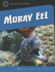 Moray Eel (Paperback)