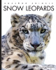 Snow Leopards (Paperback)