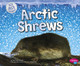 Arctic Shrews (Hardcover)