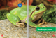 Fun With Colors: Green (Hardcover)