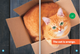 Fun With Colors: Orange (Hardcover)
