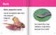 Hello, Beautiful! Colorful Animals (Hardcover)