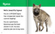 Hello, Beautiful! Desert Animals (Hardcover)
