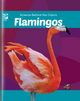 Science Behind the Colors: Flamingos (Hardcover)