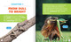 Science Behind the Colors: Frilled Lizards (Hardcover)