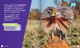 Science Behind the Colors: Frilled Lizards (Hardcover)