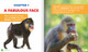 Science Behind the Colors: Mandrills (Hardcover)