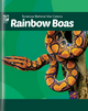 Science Behind the Colors: Rainbow Boas (Hardcover)