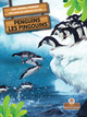 Les Pingouins (Penguins) Bilingual Eng/Fre (Paperback)