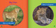 Spot the Differences: Cheetah or Leopard? (Hardcover)
