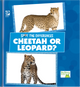 Spot the Differences: Cheetah or Leopard? (Hardcover)