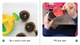 Little Science Stories - 8 Titles (Paperback)