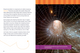 Conspiracy Theories DEBUNKED: Time Travel is Real (Hardcover)