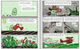 Building Blocks of Animals & Plants: Plant Life Cycles (Paperback)