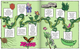 Building Blocks of Animals & Plants: Plant Life Cycles (Paperback)