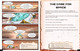 Malcom's Martians: Lost on Mars - Getting Back to Basecamp (Paperback)