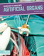 Engineering the Human Body - 8 Titles  (Paperback)